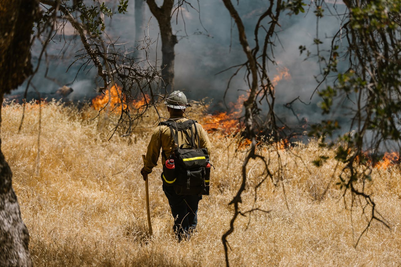 Firefighter Walking Towards a Forest Fire